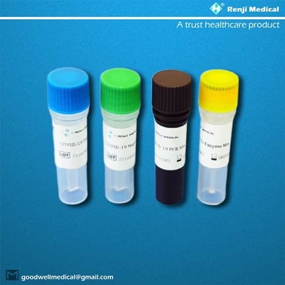 Approvazione in tempo reale di metodo ISO13485 di Renji Nucleic Acid Testing Kit RT-PCR