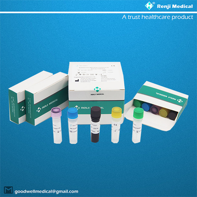 Corredo acido nucleico di rilevazione del virus di Monkeypox (MPV) (metodo in tempo reale di PCR)