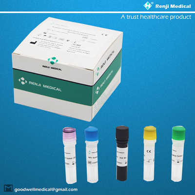 Corredo acido nucleico di rilevazione del virus di Monkeypox (MPV) (metodo in tempo reale di PCR)