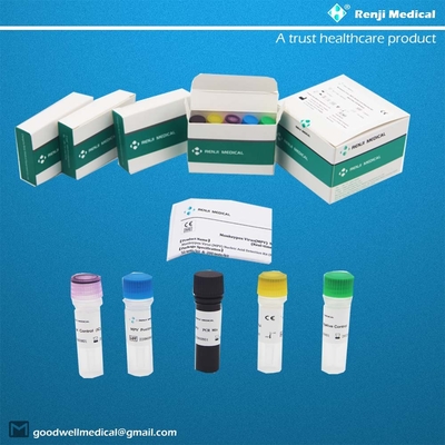 Monkeypox Virus (MPV) Kit di rilevamento dell'acido nucleico Kit di test rapido per la casa Kit PCR in tempo reale