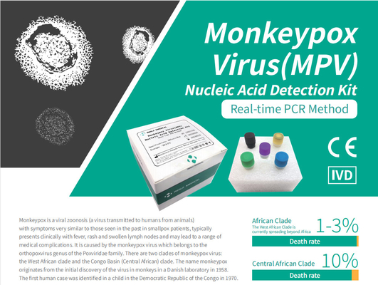 Monkeypox Virus (MPV) Kit di rilevamento dell'acido nucleico Kit di test rapido per la casa Kit PCR in tempo reale