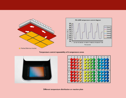 Macchina acida nucleica dell'estrazione di MSDS, macchina quantitativa in tempo reale di PCR MA6000
