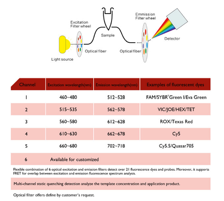Macchina acida nucleica dell'estrazione di MSDS, macchina quantitativa in tempo reale di PCR MA6000