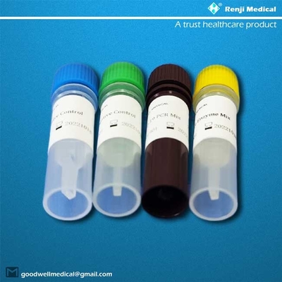 Certificazione dello SGS di ORF1ab/N Gene Novel Coronavirus Testing Kit