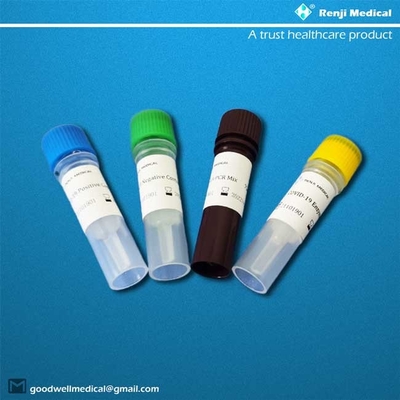 IL mA SDS ha certificato la PCR nucleica di Kit Polymerase Chain Reaction di prova acida