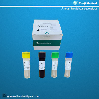 Test qualitativo Rt Pcr CE del nuovo kit di test dell'acido nucleico del coronavirus COVID-19