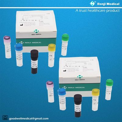 Monkeypox Virus (MPV) Kit di rilevamento dell'acido nucleico Kit di test rapido per la casa Kit PCR in tempo reale